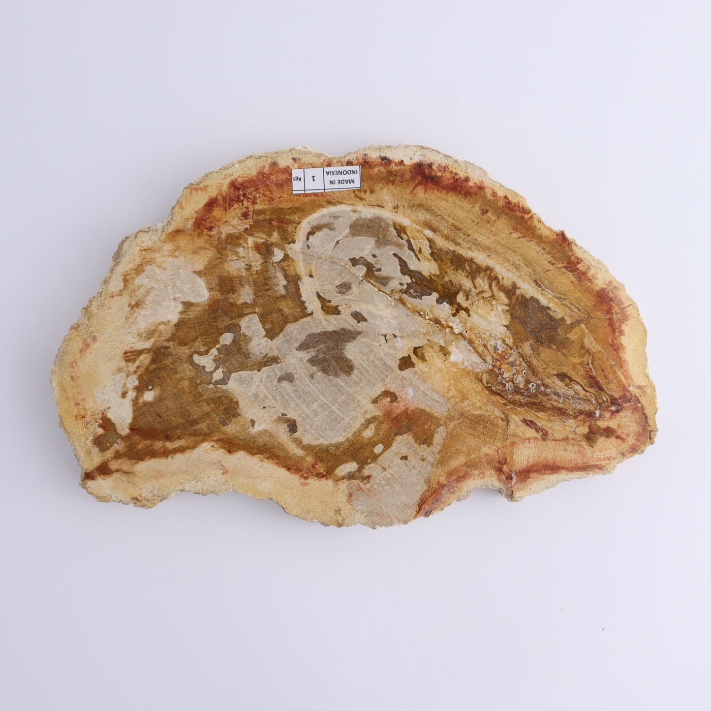 Petrified Wood Slices & Slabs Set of 3 - Expert Wholesale and Supplier of Wholesale Crystals & Bulk Gemstones, ["Freeforms","Indonesia","Petrified Wood","Slices and Slabs"]