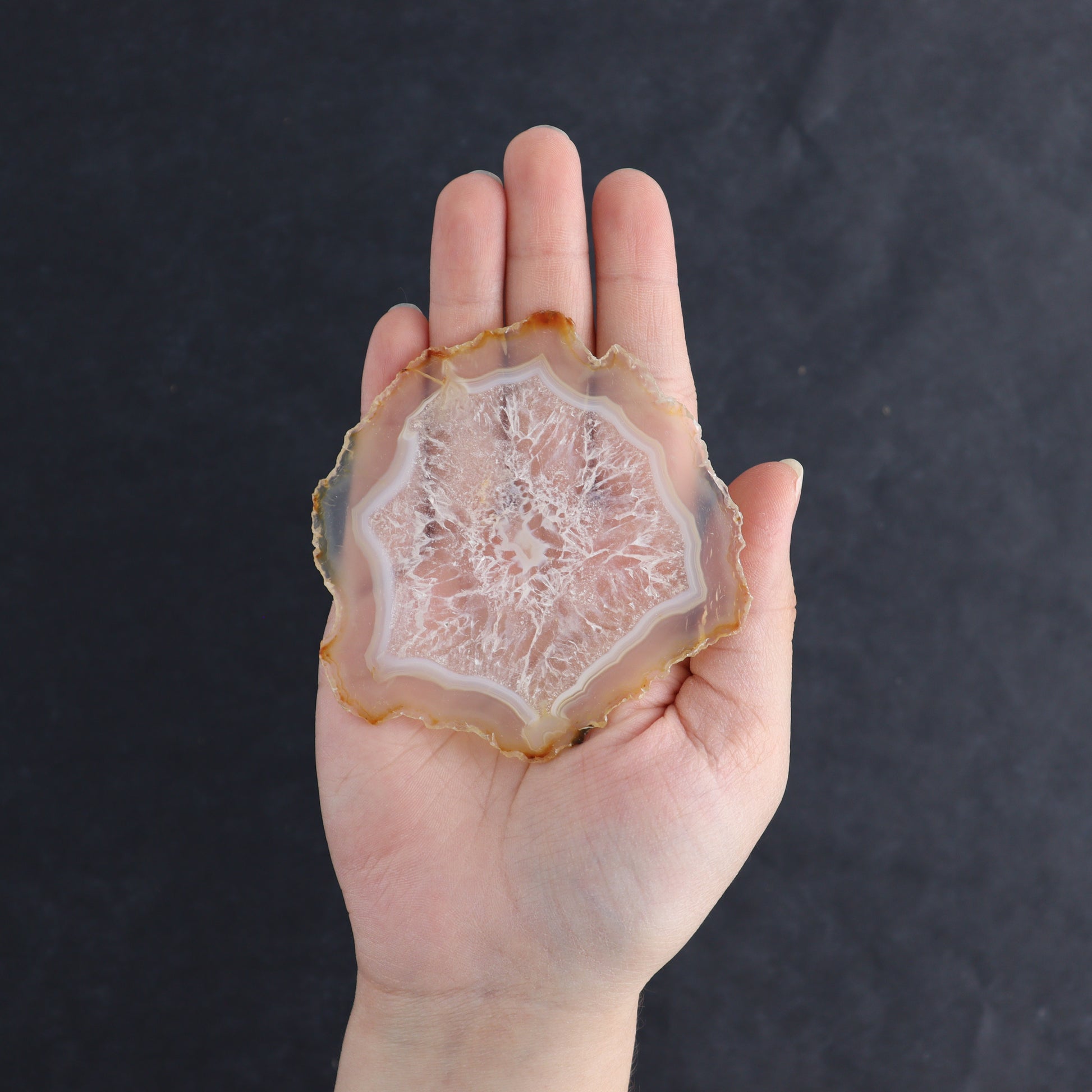 Iris Agate Slices Set of 6 - Expert Wholesale and Supplier of Wholesale Crystals & Bulk Gemstones, ["Agate","Iris Agate","Slices and Slabs"]