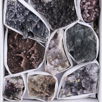 Uruguay Amethyst Clusters with Formations Flat of 11 - Expert Wholesale and Supplier of Wholesale Crystals & Bulk Gemstones, ["Amethyst","Clusters","Rainbow Amethyst","Sugar Rainbow Amethyst","Uruguay"]