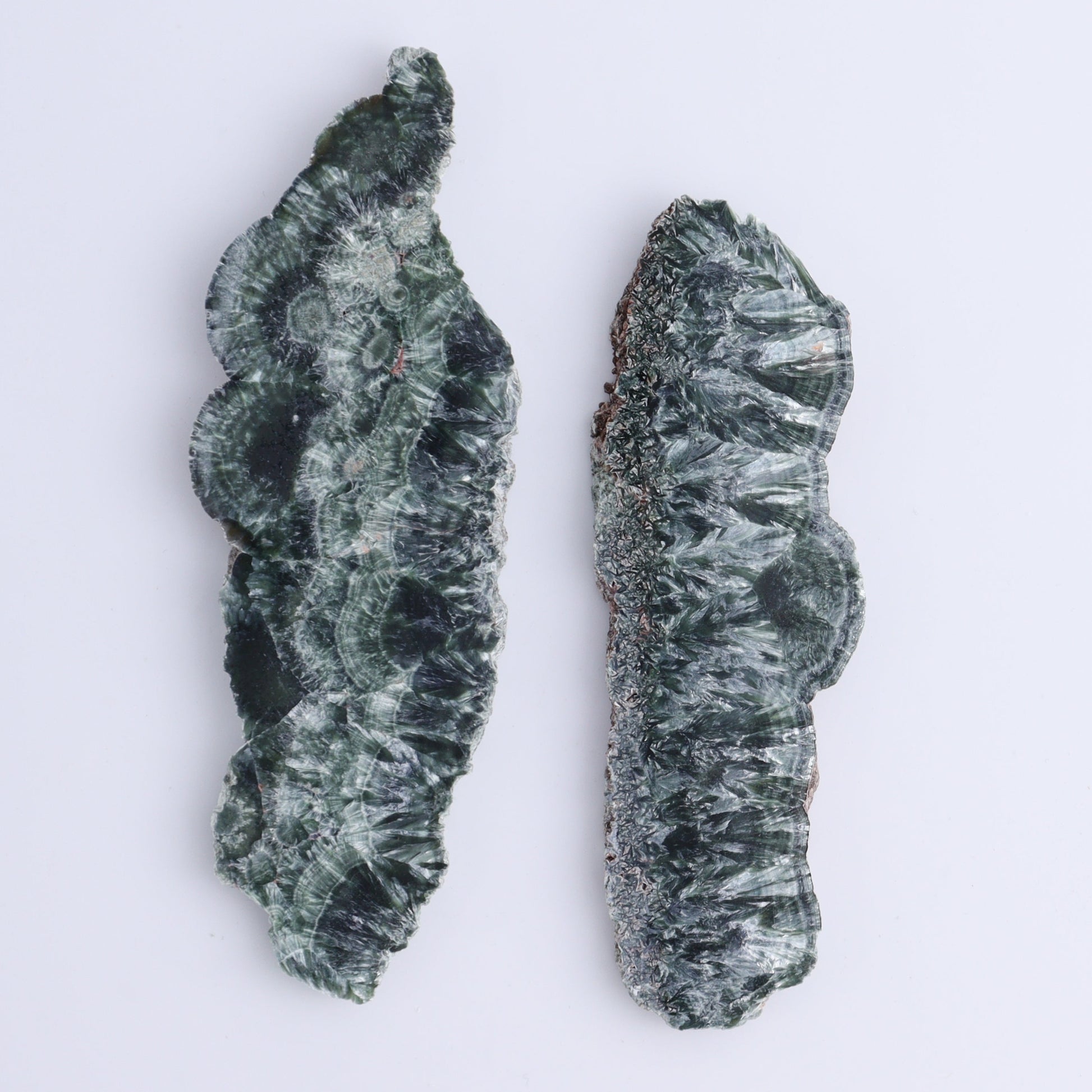 Seraphinite Slices Set of 4 - Expert Wholesale and Supplier of Wholesale Crystals & Bulk Gemstones, ["Seraphinite","Slices and Slabs"]