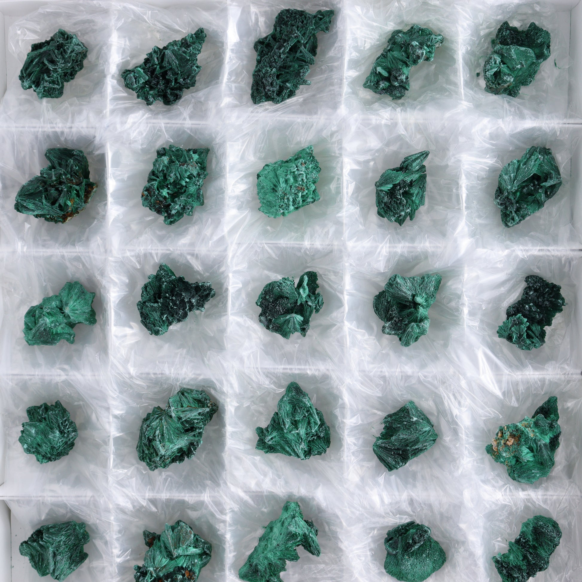 Fibrous Malachite Freeforms Set of 35 - Expert Wholesale and Supplier of Wholesale Crystals & Bulk Gemstones, ["Congo","Fibrous Malachite","Freeform","Malachite"]