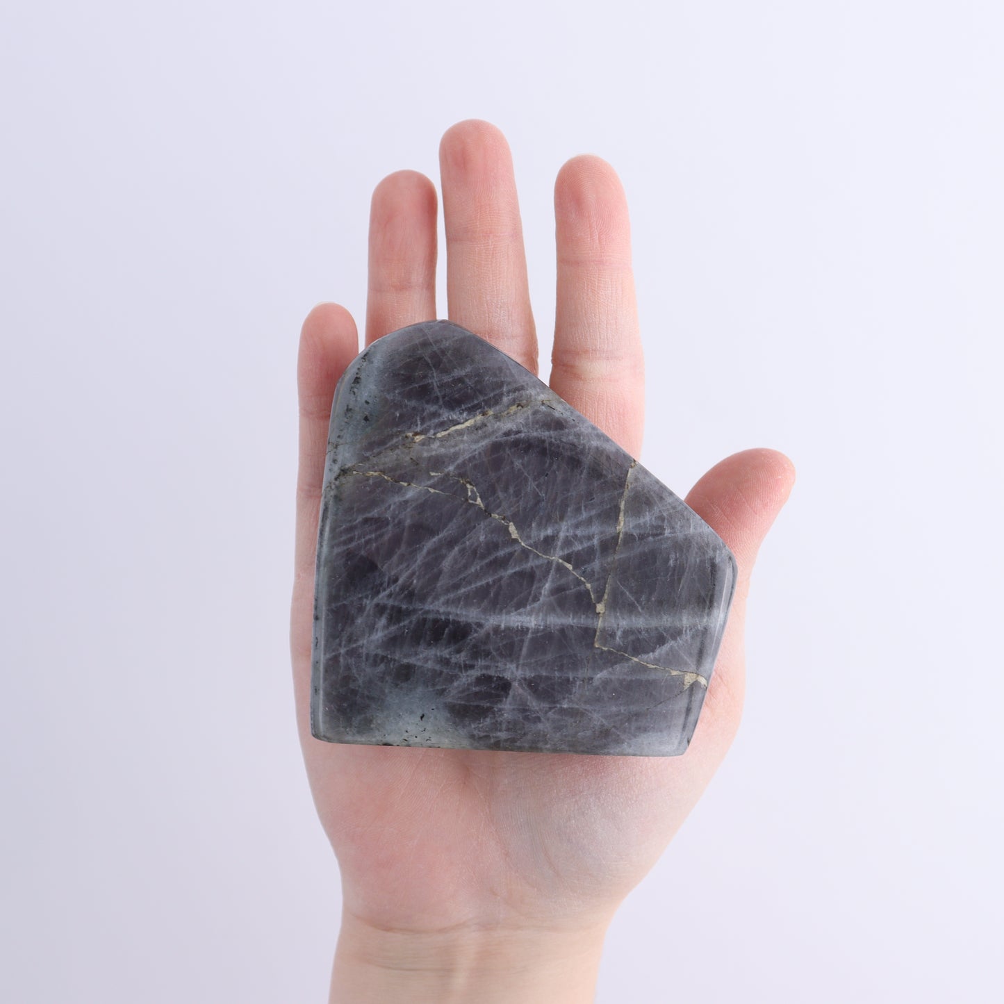 Labradorite Freeform Set of 4