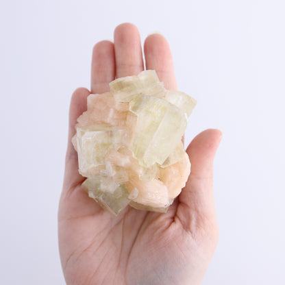 Apophyllite Clusters Flat of 12