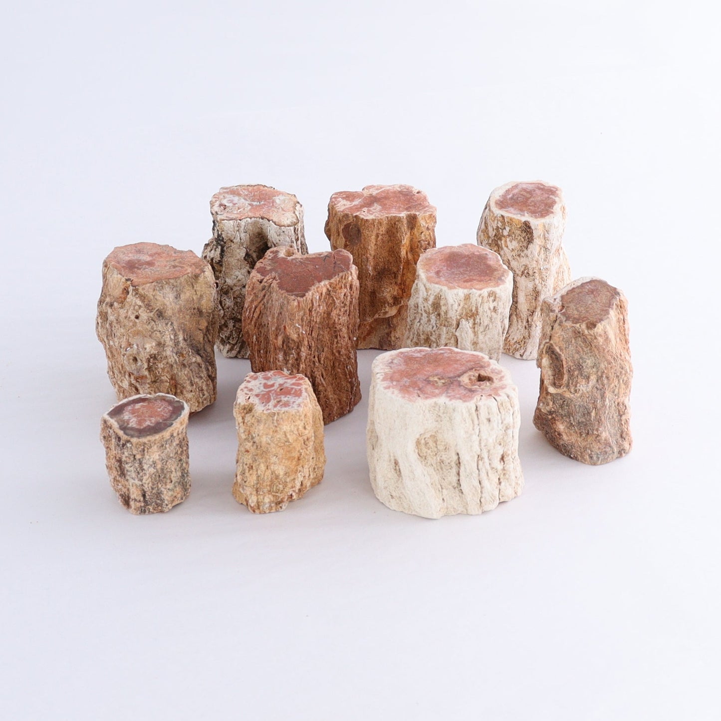 Petrified Wood Cut Bases Set of 10 - Expert Wholesale and Supplier of Wholesale Crystals & Bulk Gemstones, ["Cut Base","Petrified Wood"]