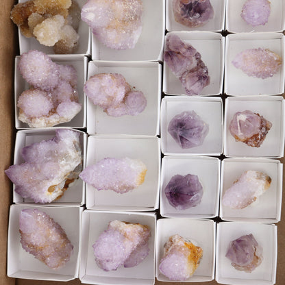 Cactus Quartz Set of 22