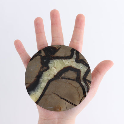 Septarian Coaster Set of 4