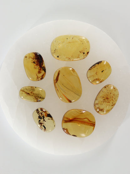 Chiapas Amber Cabs Set of 8