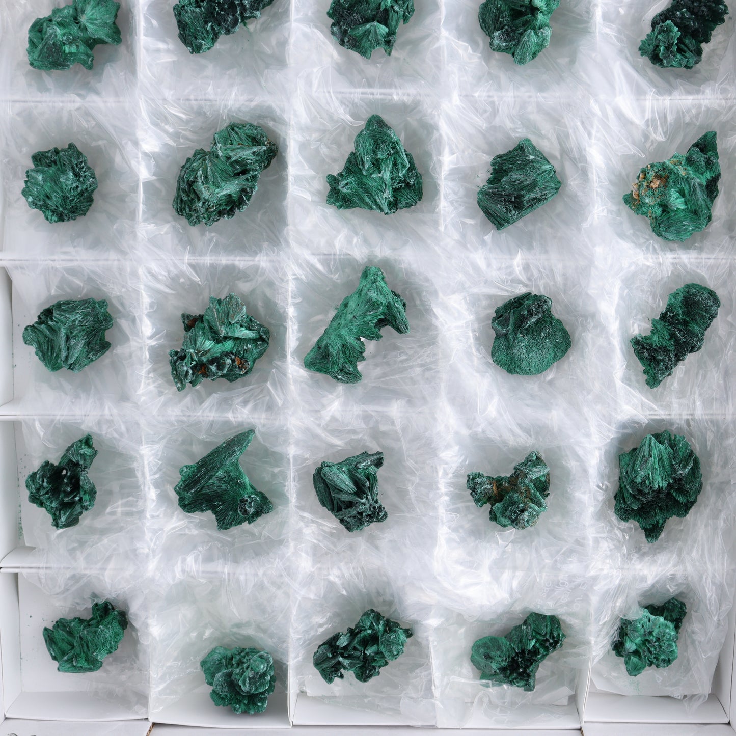 Fibrous Malachite Freeforms Set of 35 - Expert Wholesale and Supplier of Wholesale Crystals & Bulk Gemstones, ["Congo","Fibrous Malachite","Freeform","Malachite"]