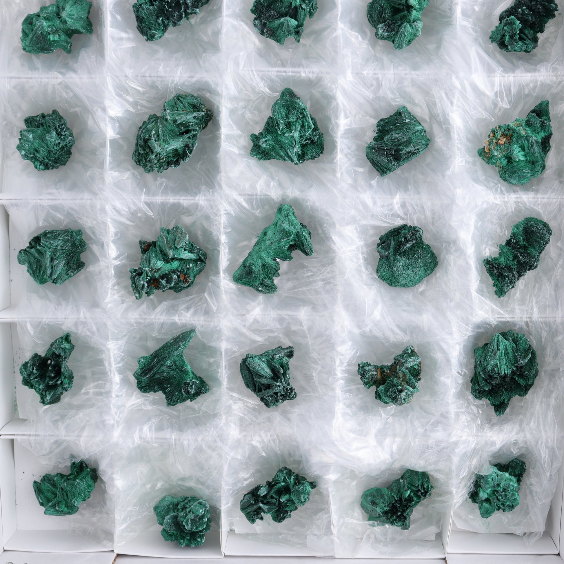 Fibrous Malachite Freeforms Set of 35 - Expert Wholesale and Supplier of Wholesale Crystals & Bulk Gemstones, ["Congo","Fibrous Malachite","Freeform","Malachite"]