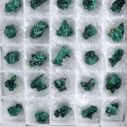 Fibrous Malachite Freeforms Set of 35 - Expert Wholesale and Supplier of Wholesale Crystals & Bulk Gemstones, ["Congo","Fibrous Malachite","Freeform","Malachite"]