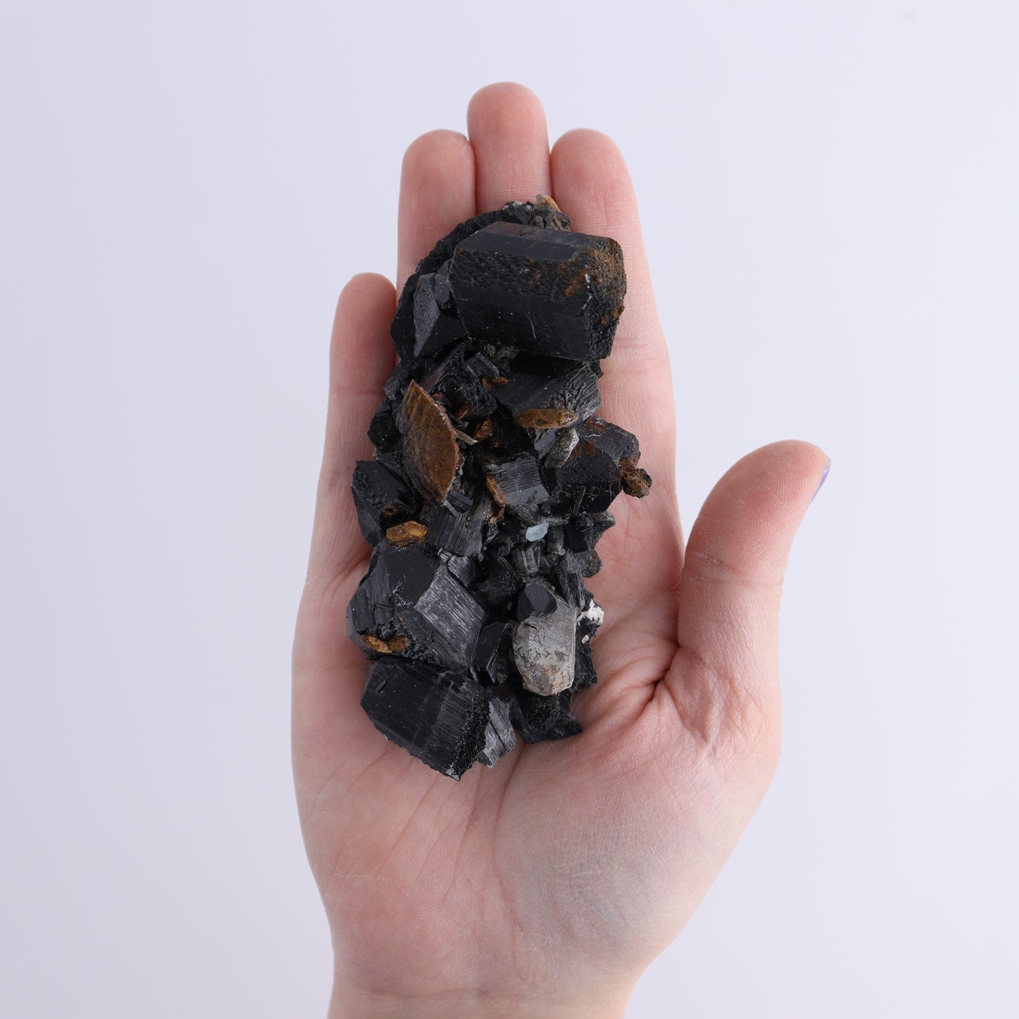 Schorl Tourmaline Flat of 30 - Expert Wholesale and Supplier of Wholesale Crystals & Bulk Gemstones, ["Black Tourmaline","Madagascar","Schorl Tourmaline","Tourmaline"]