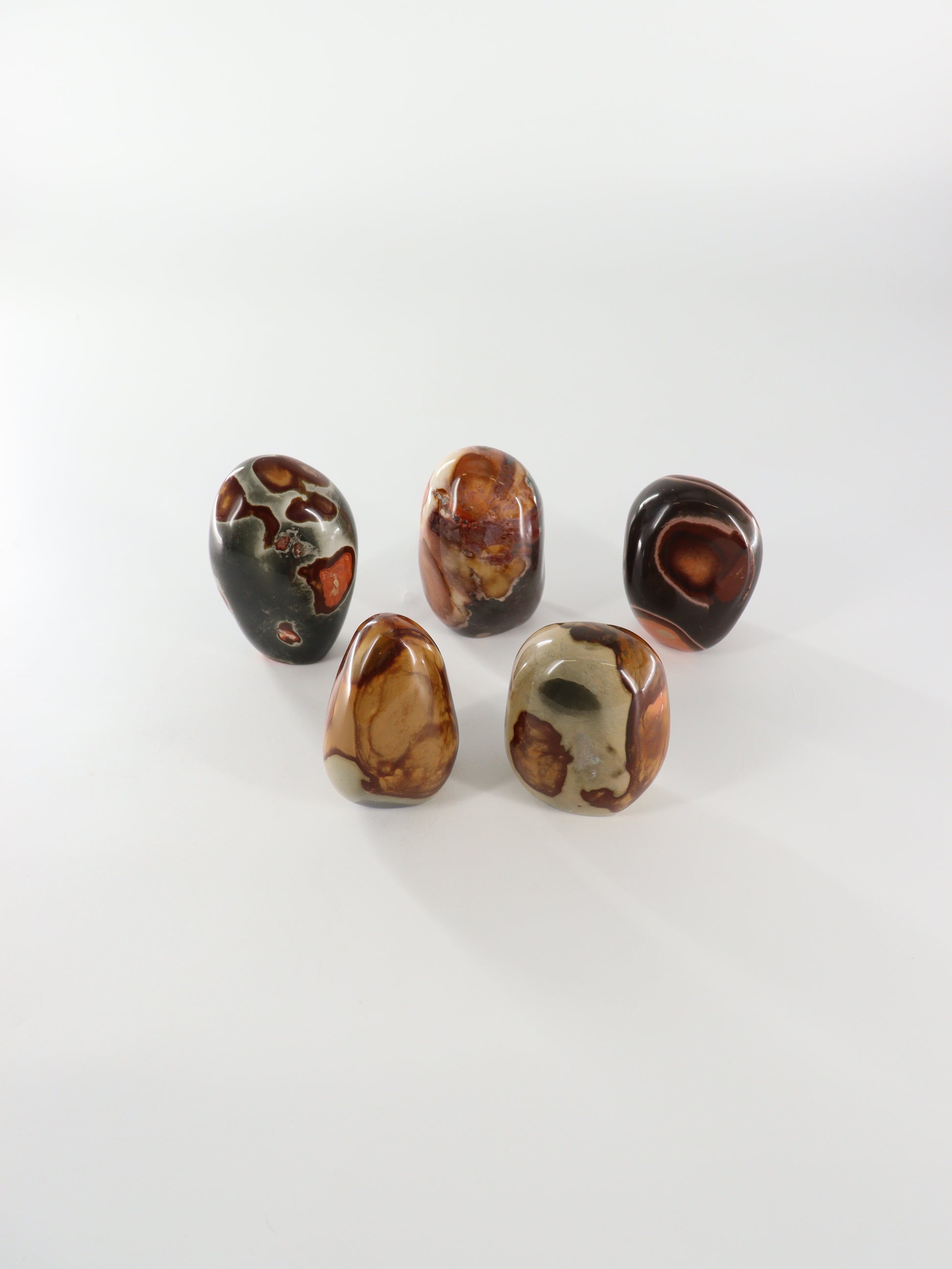 Polychrome Jasper Freeforms Set of 5 - Expert Wholesale and Supplier of Wholesale Crystals & Bulk Gemstones, []