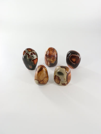 Polychrome Jasper Freeforms Set of 5 - Expert Wholesale and Supplier of Wholesale Crystals & Bulk Gemstones, []