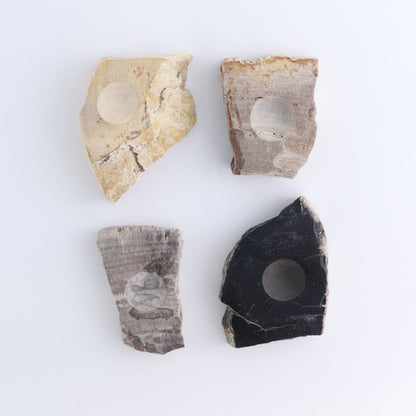 One Small Petrified Wood Sphere Holder