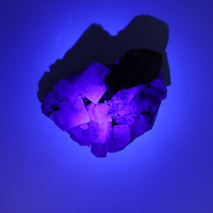 Fluorite Purple Rain Pocket Set of 8 - Expert Wholesale and Supplier of Wholesale Crystals & Bulk Gemstones, ["close_50","England","Fluorite","Purple Rain Pocket","Rough"]