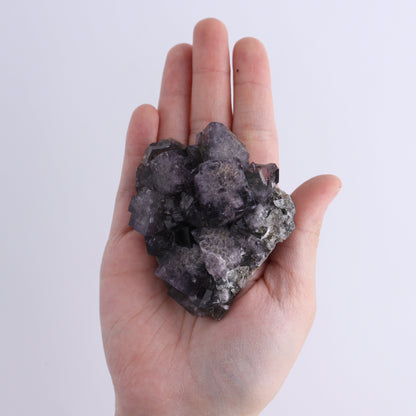 Fluorite Purple Rain Pocket Set of 8 - Expert Wholesale and Supplier of Wholesale Crystals & Bulk Gemstones, ["close_50","England","Fluorite","Purple Rain Pocket","Rough"]