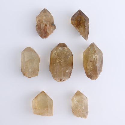 Citrine Roughs Set of 7