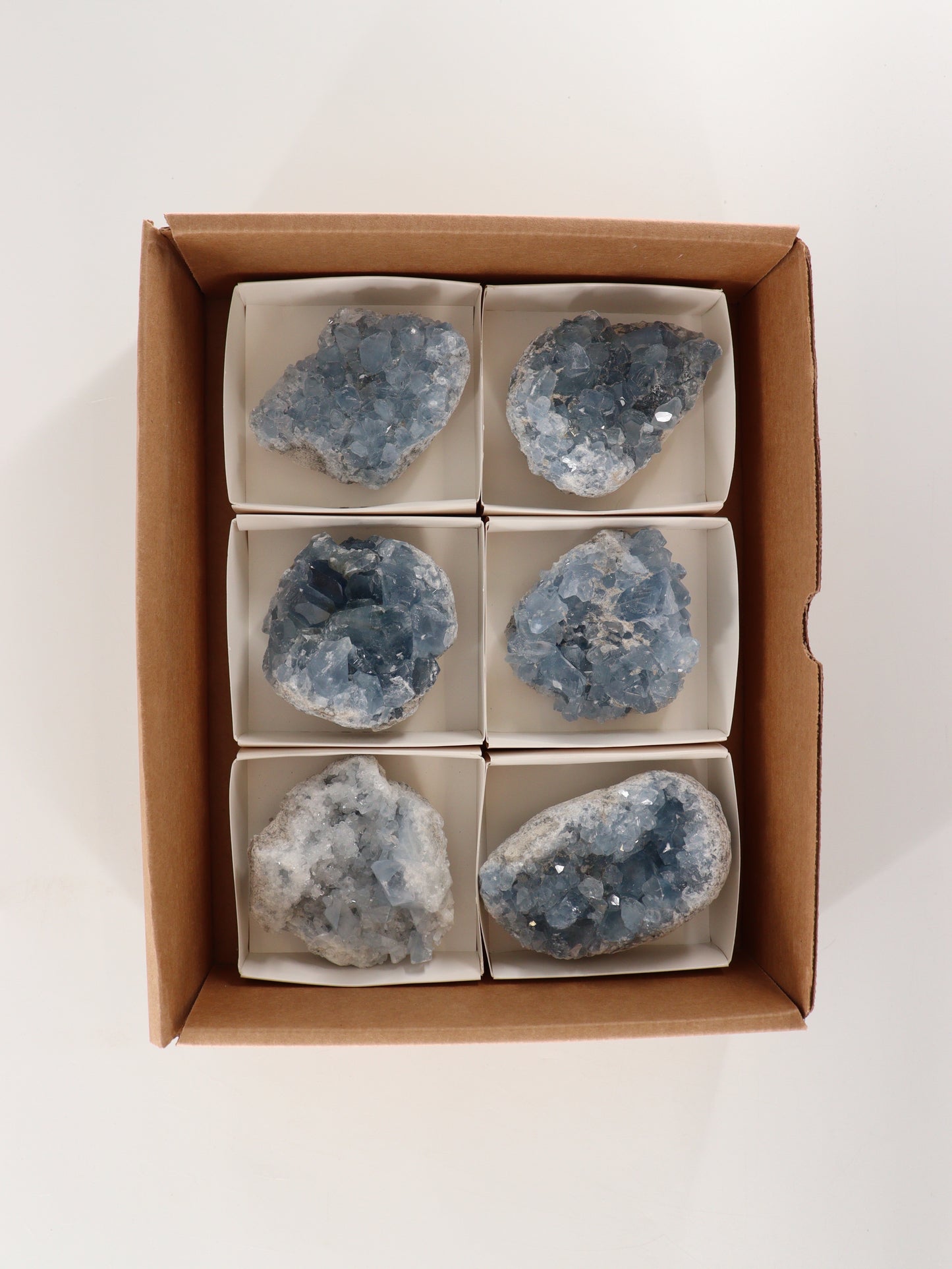 Celestite Clusters Set of 6 - Expert Wholesale and Supplier of Wholesale Crystals & Bulk Gemstones, []