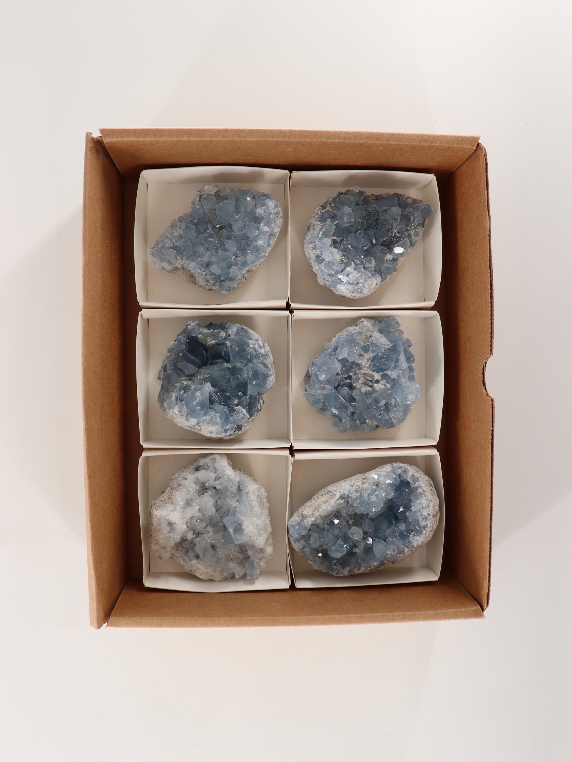 Celestite Clusters Set of 6 - Expert Wholesale and Supplier of Wholesale Crystals & Bulk Gemstones, []