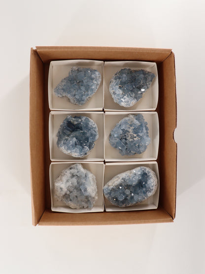 Celestite Clusters Set of 6 - Expert Wholesale and Supplier of Wholesale Crystals & Bulk Gemstones, []
