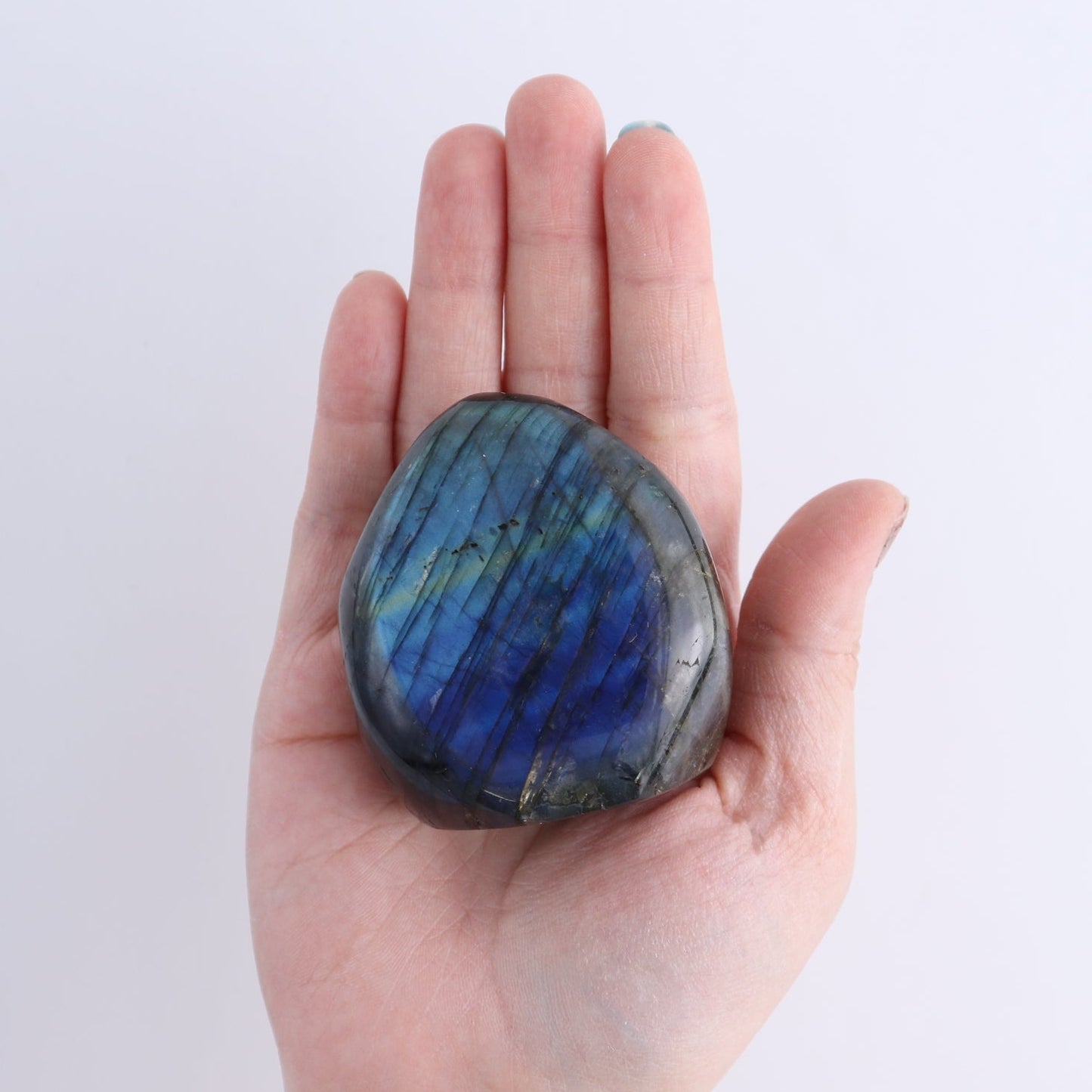 Labradorite Freeform Set of 7