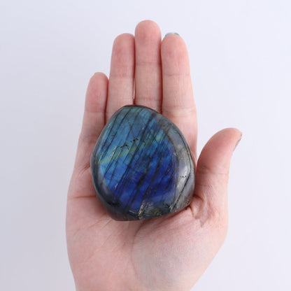 Labradorite Freeform Set of 7