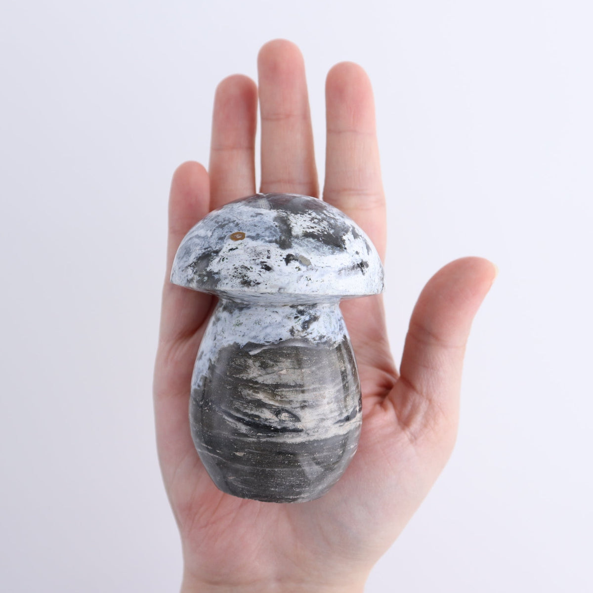 Jasper Mushrooms Set of 8