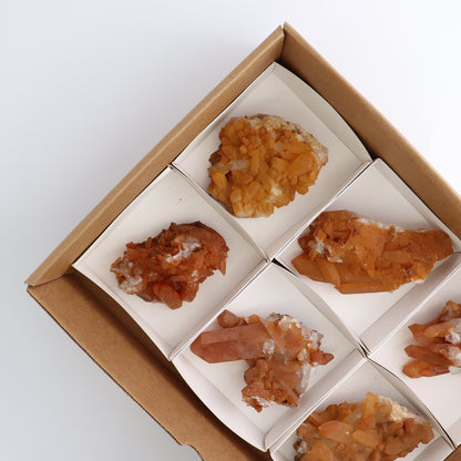 Dark Tangerine Quartz Clusters Set of 6 - Expert Wholesale and Supplier of Wholesale Crystals & Bulk Gemstones, ["Clusters","Quartz","Tangerine Quartz"]