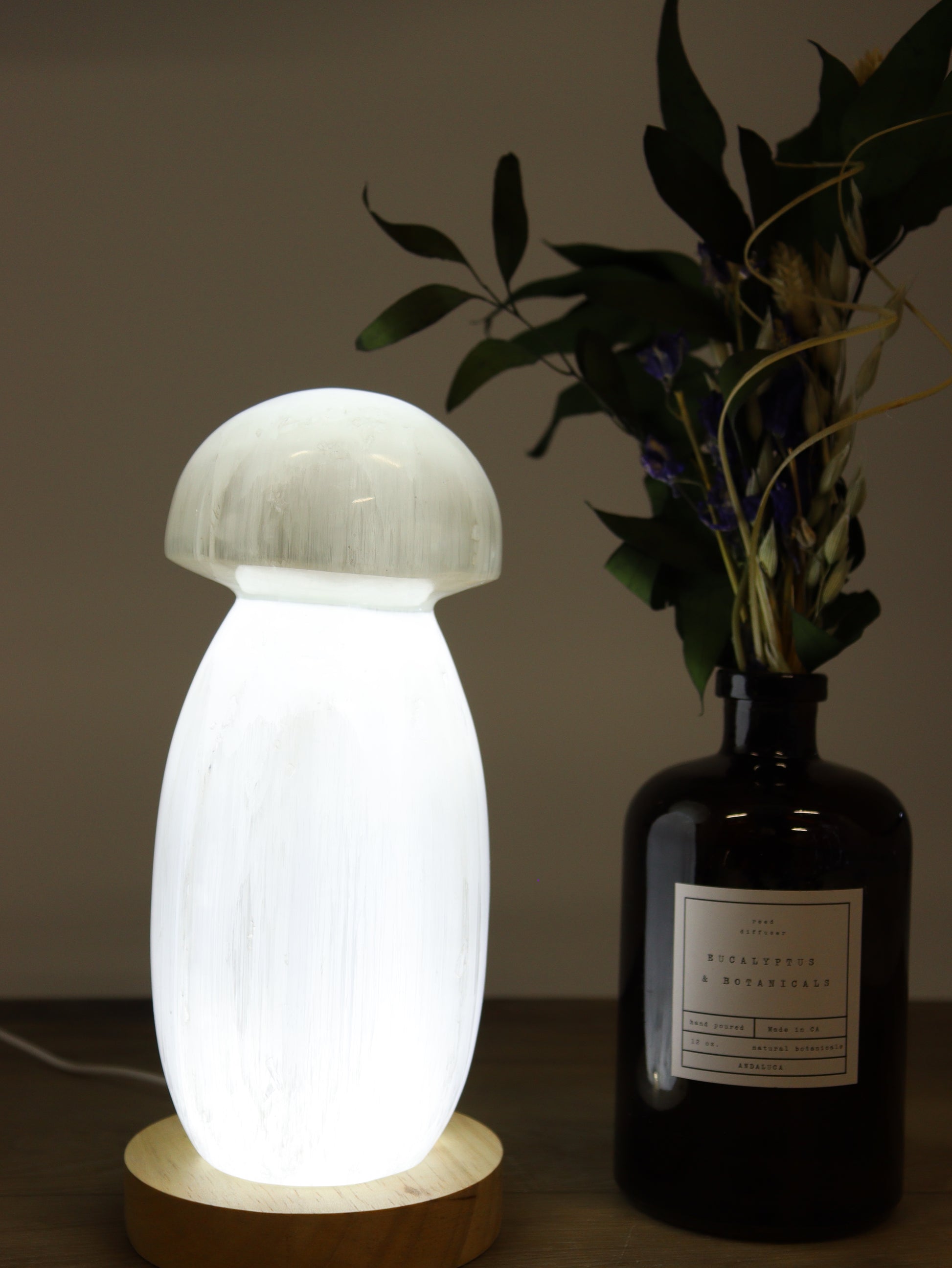 Mushroom Selenite Lamp - Expert Supplier of Wholesale Crystals & Bulk Gemstones