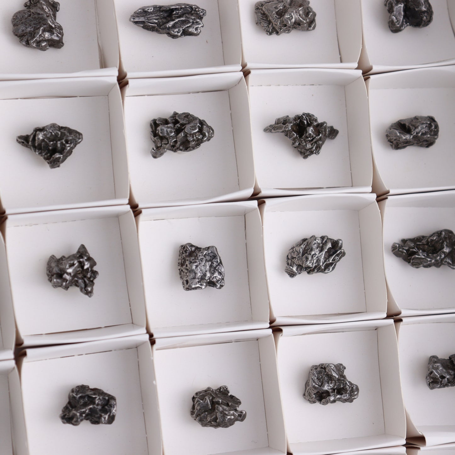 Campo del Cielo Meteorites from Argentina, Flat of 54 - Expert Wholesale and Supplier of Wholesale Crystals & Bulk Gemstones, ["Argentina","Flats","Meteorite"]