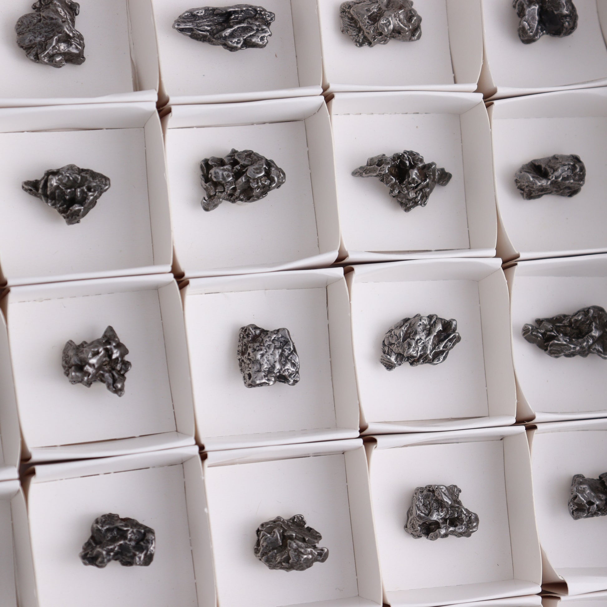 Campo del Cielo Meteorites from Argentina, Flat of 54 - Expert Wholesale and Supplier of Wholesale Crystals & Bulk Gemstones, ["Argentina","Flats","Meteorite"]