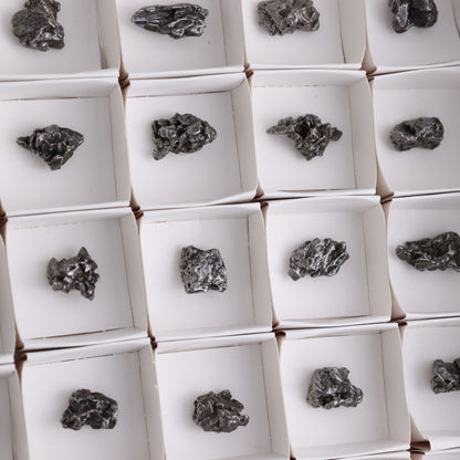 Campo del Cielo Meteorites from Argentina, Flat of 54 - Expert Wholesale and Supplier of Wholesale Crystals & Bulk Gemstones, ["Argentina","Flats","Meteorite"]