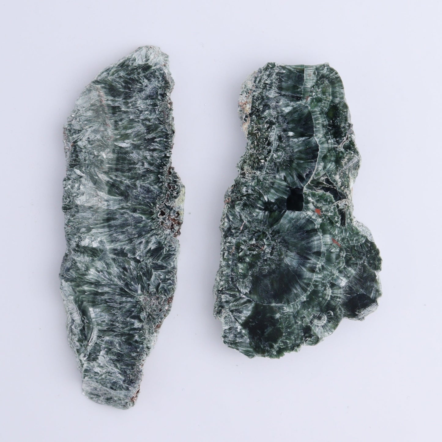 Seraphinite Slices Set of 4 - Expert Wholesale and Supplier of Wholesale Crystals & Bulk Gemstones, ["Seraphinite","Slices and Slabs"]
