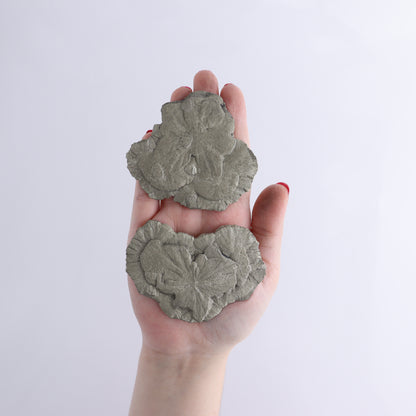 Pyrite Suns Flat of 12 - Expert Wholesale and Supplier of Wholesale Crystals & Bulk Gemstones, ["Pyrite","Suns","United States"]