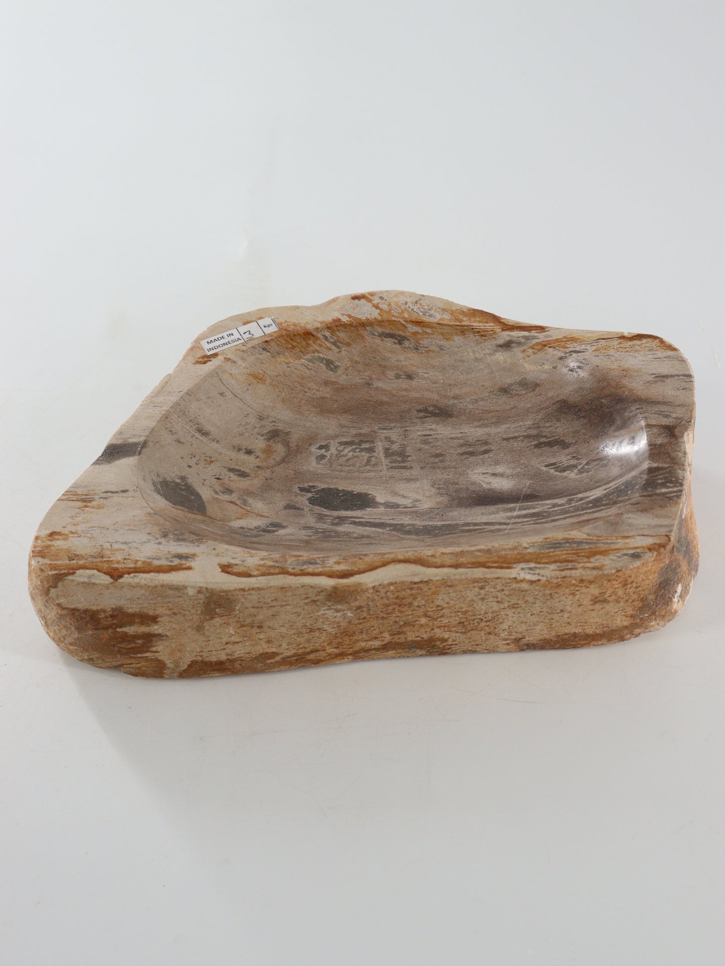 Petrified Wood Bowl