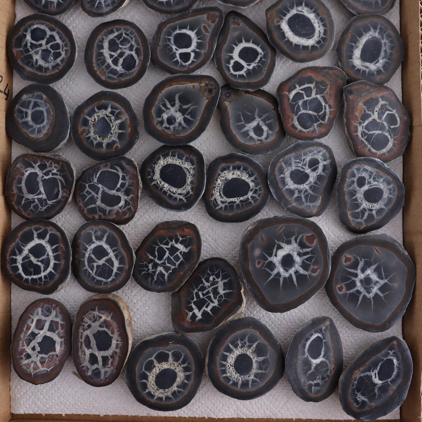 Septarian Geodes Flat - Expert Wholesale and Supplier of Wholesale Crystals & Bulk Gemstones, ["Geodes","Septarian"]