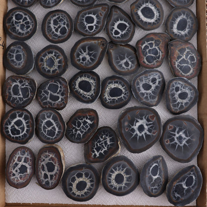 Septarian Geodes Flat - Expert Wholesale and Supplier of Wholesale Crystals & Bulk Gemstones, ["Geodes","Septarian"]