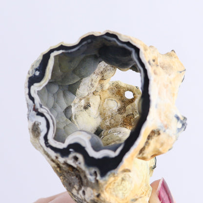 Agatized Coral Flat - Expert Wholesale and Supplier of Wholesale Crystals & Bulk Gemstones, ["Agate","Agatized Coral","Coral","United States"]