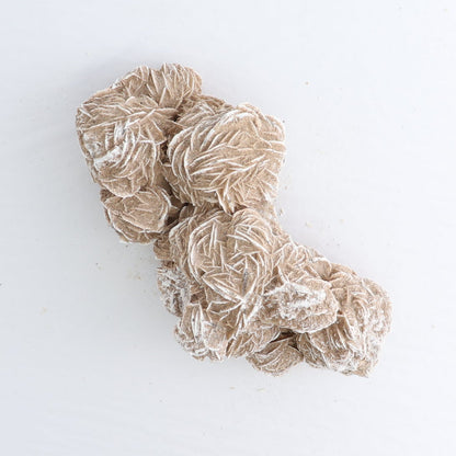 Desert Rose Set of 3