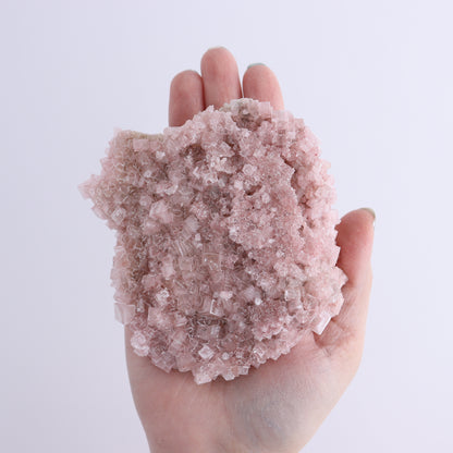 Pink Halite Set of 12 - Expert Wholesale and Supplier of Wholesale Crystals & Bulk Gemstones, ["close_50","Flats","Halite","Pink Halite","United States"]