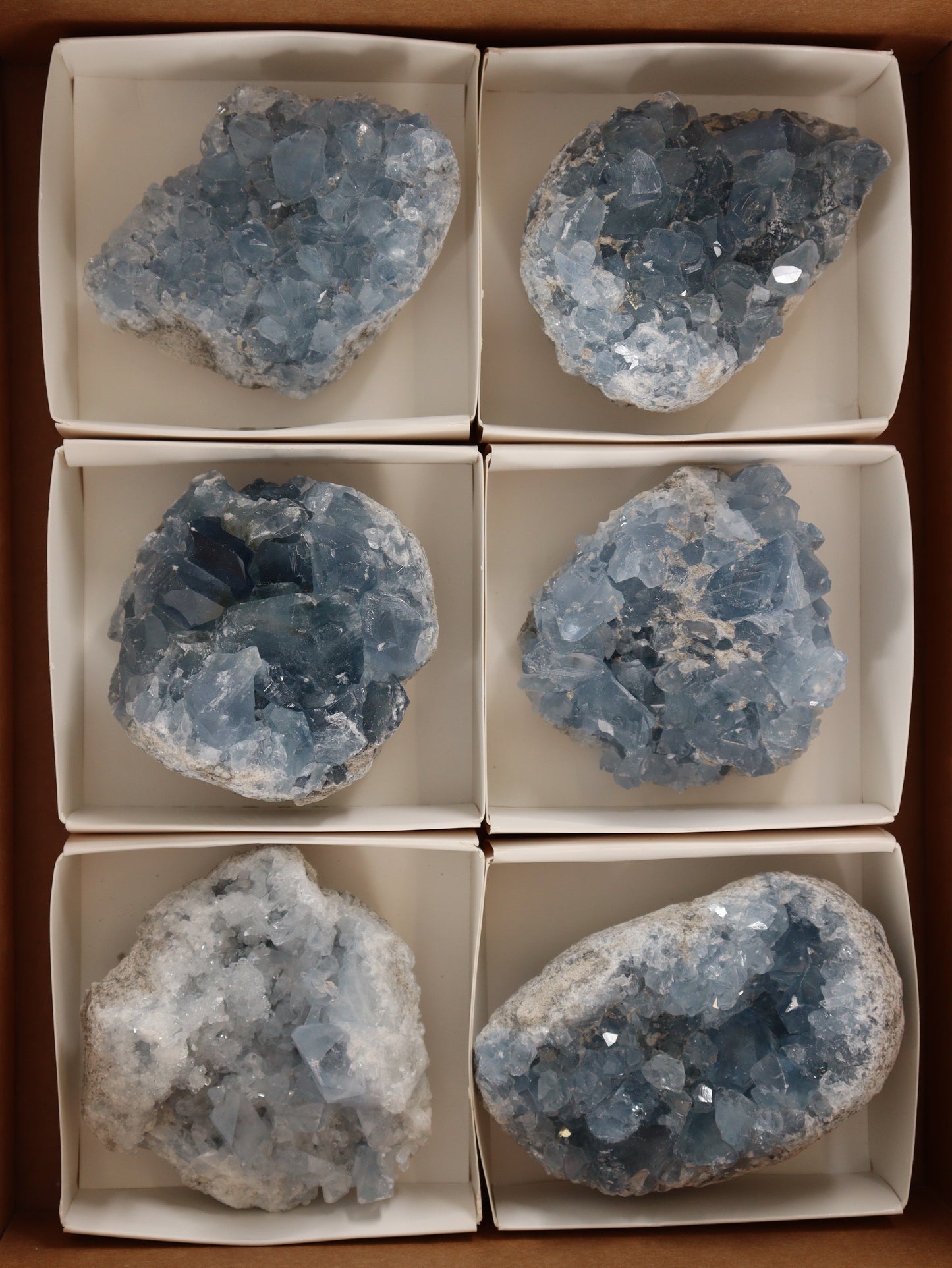 Celestite Clusters Set of 6 - Expert Wholesale and Supplier of Wholesale Crystals & Bulk Gemstones, []
