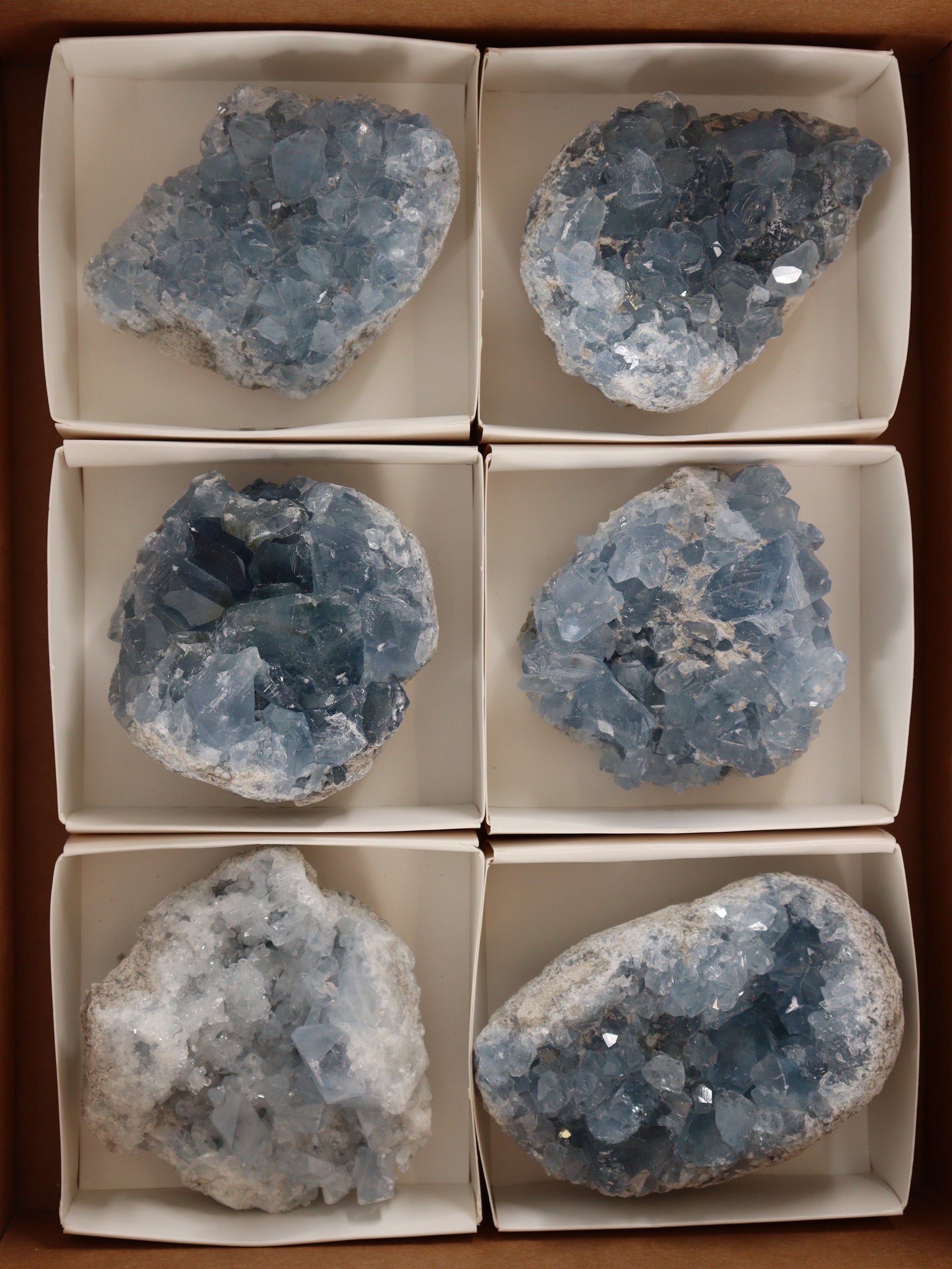 Celestite Clusters Set of 6 - Expert Wholesale and Supplier of Wholesale Crystals & Bulk Gemstones, []