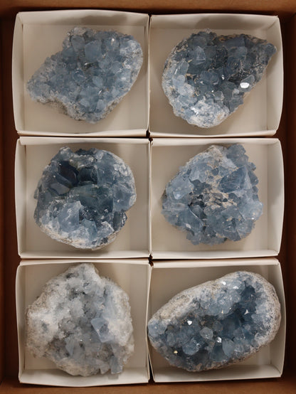 Celestite Clusters Set of 6 - Expert Wholesale and Supplier of Wholesale Crystals & Bulk Gemstones, []
