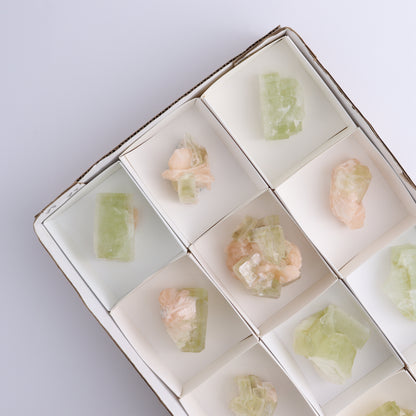 Apophyllite Clusters Flat of 12