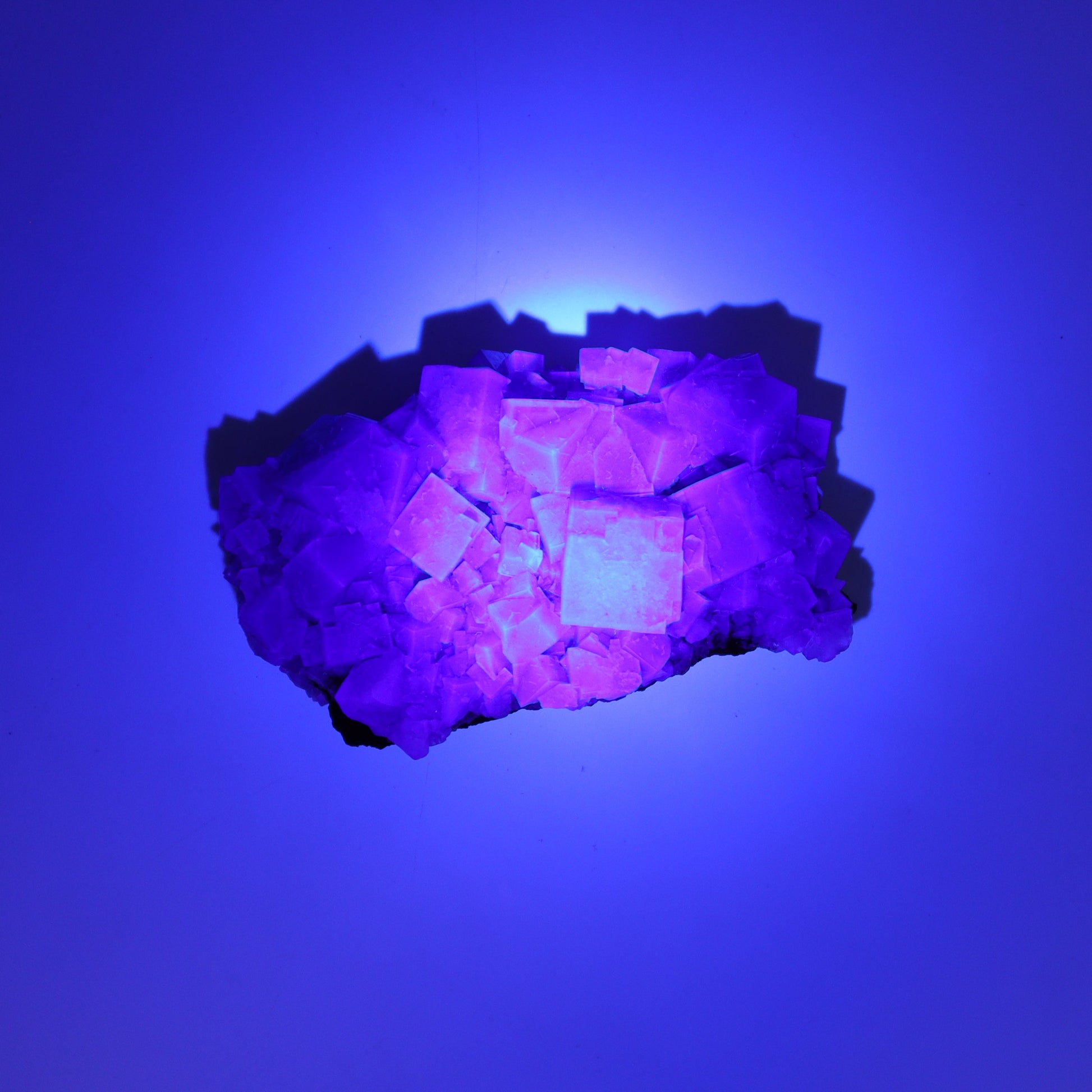 Fluorite Purple Rain Pocket Set of 8 - Expert Wholesale and Supplier of Wholesale Crystals & Bulk Gemstones, ["close_50","England","Fluorite","Purple Rain Pocket","Rough"]