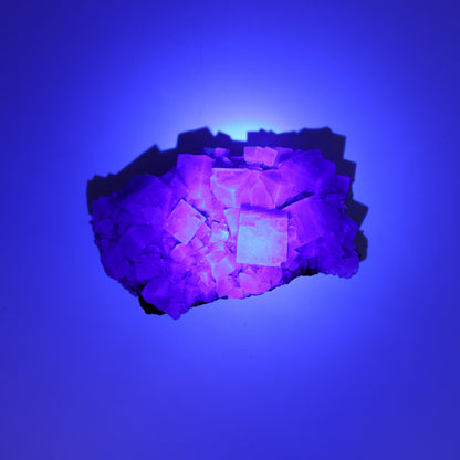 Fluorite Purple Rain Pocket Set of 8 - Expert Wholesale and Supplier of Wholesale Crystals & Bulk Gemstones, ["close_50","England","Fluorite","Purple Rain Pocket","Rough"]