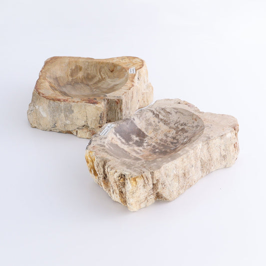 Petrified Wood Bowls Set of 2