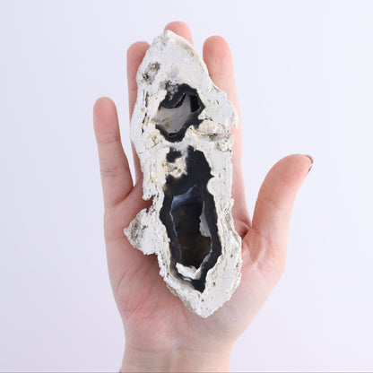 Agatized Coral Flat - Expert Wholesale and Supplier of Wholesale Crystals & Bulk Gemstones, ["Agate","Agatized Coral","Coral","United States"]