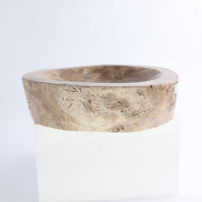 One Petrified Wood Brown Polished Bowl