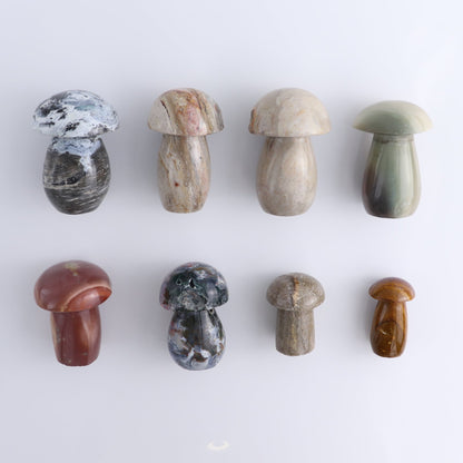 Jasper Mushrooms Set of 8